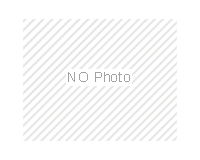 Liuzhou Winchem Trading Co., Ltd.