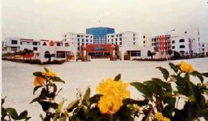 Shandong Dooly Textile Co,.ltd