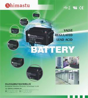 Lightion Electronic Factory