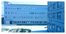 Ningbo Boqiang Electrical Appliance Co., Ltd