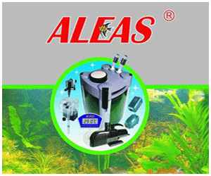 jin li jia electromechanical CO,LTD