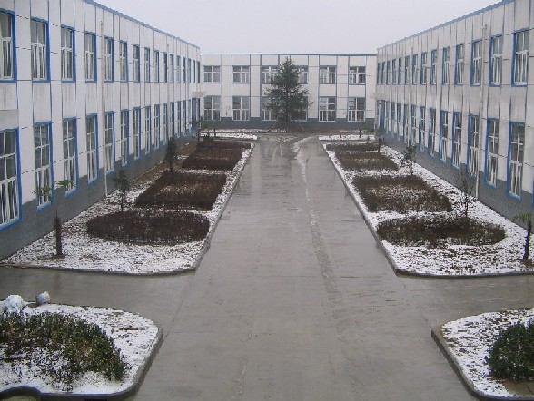Hefei Telijie Packaging Technology Co.,Ltd