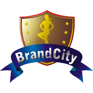 BRANDCITY HEALTHCARE GROUP CO.,LTD.