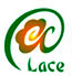 Zhejiang Lace Import and Export Co., Ltd.,