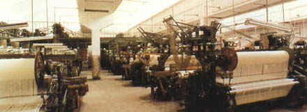 Shandong Shmily Textile Co., Ltd.