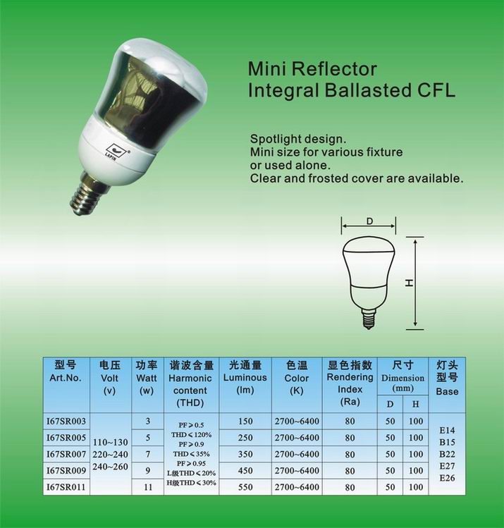 Shenzhen Lapin Lighting Technology Co.,LTD