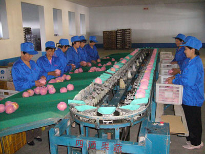 company_image