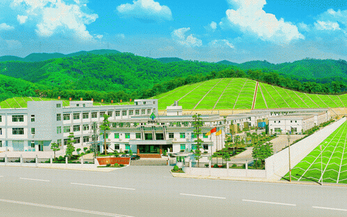 TaiQiang Chemical LTD Company