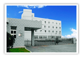 Qingdao Xinrise Auto Parts Co.,Ltd