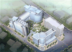 Shanghai Feev motor Co.,Ltd