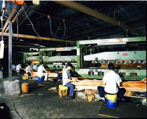Xiangfei Woodworks Co., Ltd.