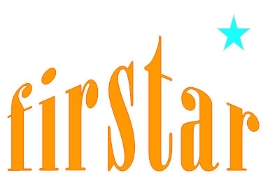 FIRSTAR LEATHER INC
