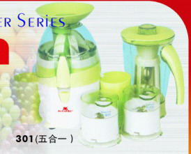 Foshan Zhaoying Ltd