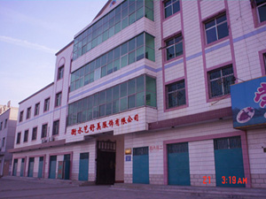 HengShui Yishumei garment company