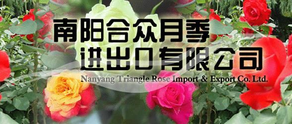 The Nanyang Triangle Rose Import & Export Co.Ltd