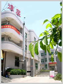 Quanzhou Daxing Knitting Clothing Company Limited