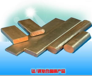 Ninehills Enterprise Limited
