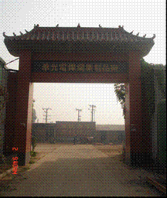 company_image