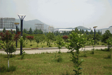 hongsheng chemical co.,ltd