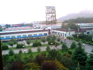 Shandong Luyue Chemical Industry Co., Ltd.