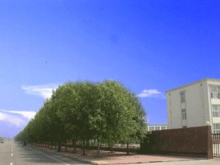 SHOUGUANG FUREN INDUSTRIAL AND COMMERICAL CO.,LTD