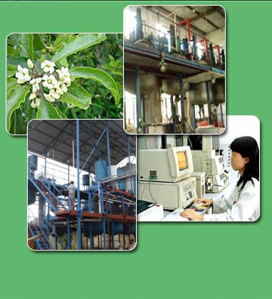 Titan Products Company