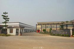 SUMMER INT'L LTD