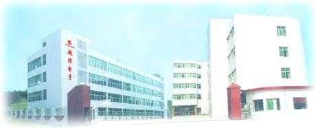 company_image