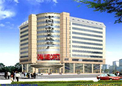 China Henan Xichuan County Yamei Carpet Factory