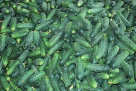 Hengrun Agriculture Development Co.,Ltd.