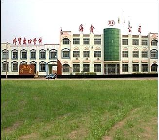 Heibei Cangzhou Haixin Pipe Fitting Group Co., Ltd.