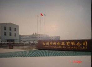 Taizhou Dongtian Electrical Co., Ltd.