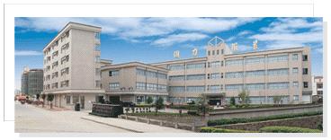 Dongyang Tongli Clothing Co., Ltd.