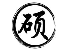 Beijing Langshuo Digital Co., Ltd.