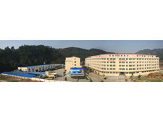 Zhejiang Dingli Industry Co., Ltd