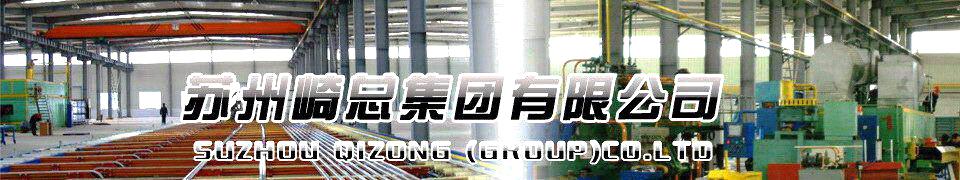 Suzhou Qizong Group