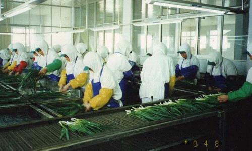 XingHua MeiQuan Food Co.,Ltd.