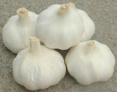 YC FOOD CO LTD