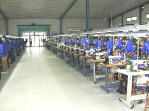 Goldvise International Trade Co., Ltd.