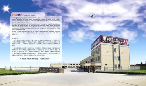Haining Donghao Leather Products,Co,Ltd