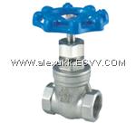 Gate Valve Glass 200