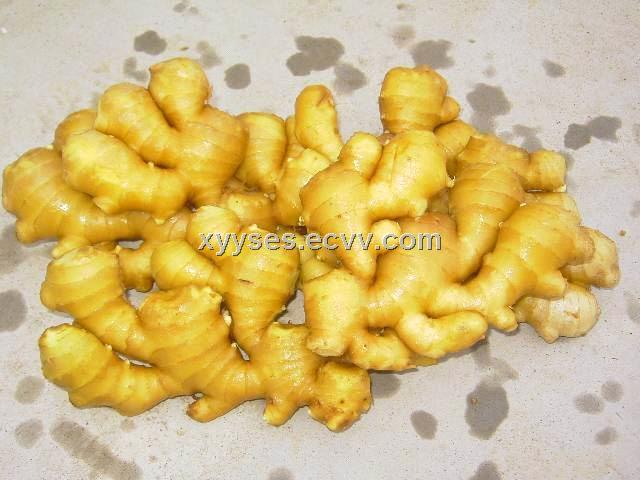 Ginger