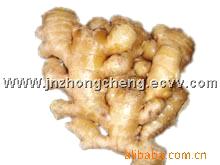 ginger