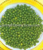canned green beans
