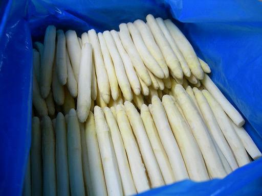 iqf white asparagus