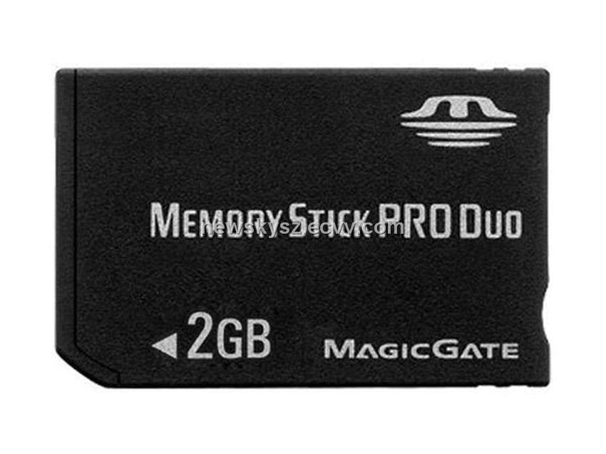 MS Pro Duo