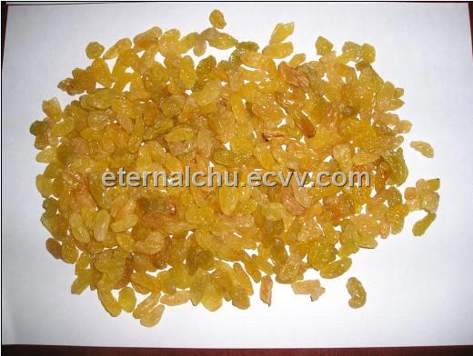 Golden Raisin