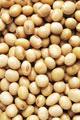 Discount on bulk order for Soya bean, Soya meal, Barley