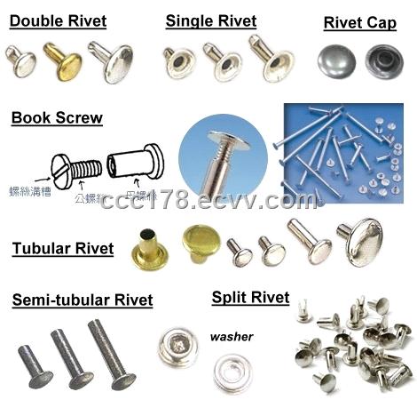 rivet fastener,