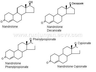Nandrolone other names